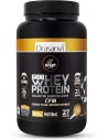 Iso Whey Protein 800g de Drasanvi