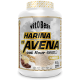 Harina de Avena Sabores. 2 Kg