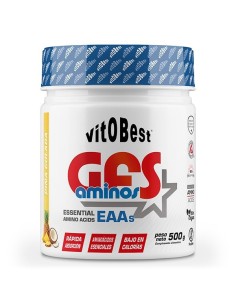 GFS Amino Powder 500g de Vitobest