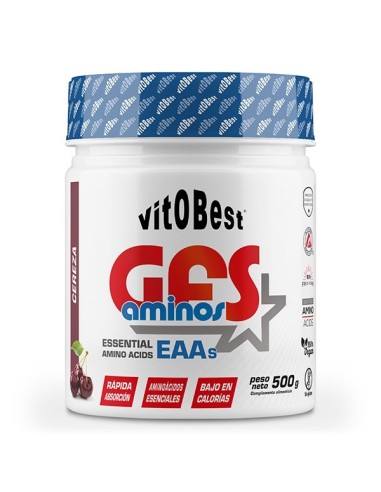 GFS Amino Powder 500g de Vitobest